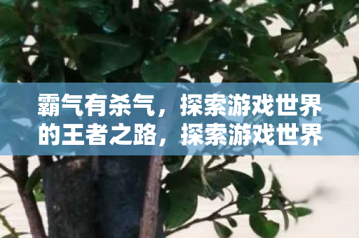 探索游戏世界的王者之路图片