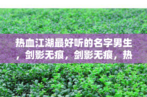 热血江湖中最动听的男生名字图片
