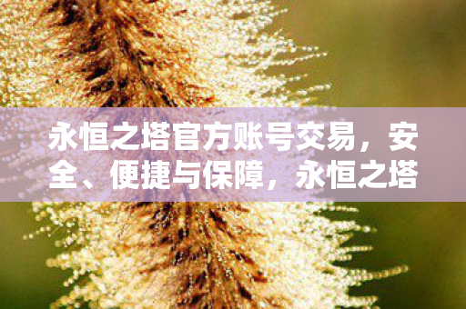 永恒之塔官方账号交易图片