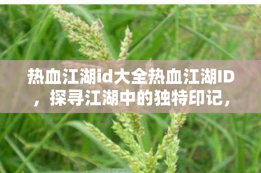 热血江湖id大全热血江湖ID图片