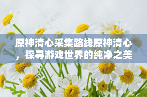 原神清心采集路线原神清心，探寻游戏世界的纯净之美，原神，探寻游戏世界的纯净之美——清心采集路线
