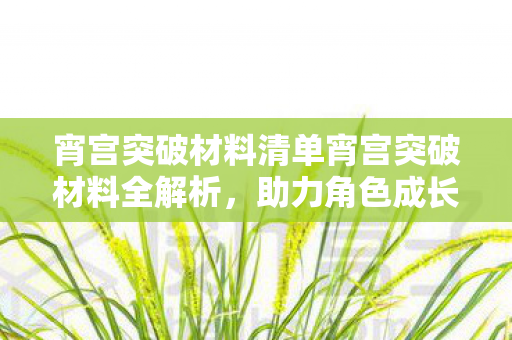 宵宫突破材料清单宵宫突破材料全解析，助力角色成长，打造顶级战力，宵宫突破材料全解析，助力角色成长，打造顶级战力