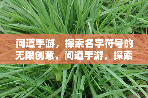 问道手游，探索名字符号的无限创意，问道手游，探索名字符号的无限创意