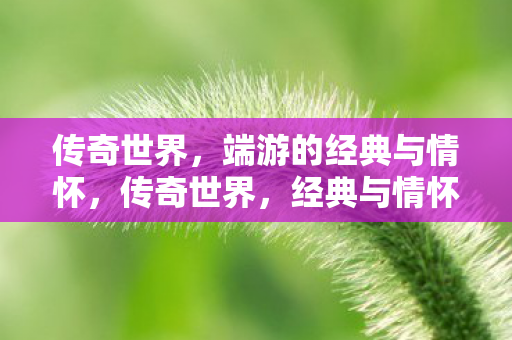 经典与情怀的端游之旅图片
