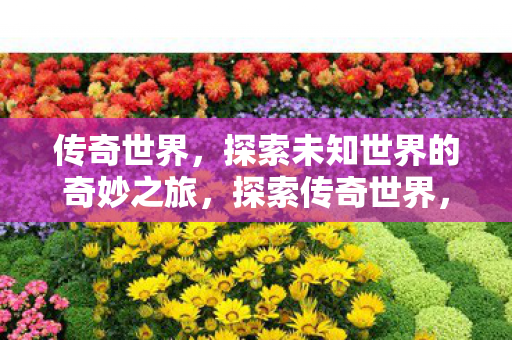 传奇世界，探索未知世界的奇妙之旅，探索传奇世界，奇妙之旅开启