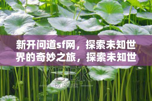 新开问道sf网,探索未知世界的奇妙之旅,探索未知世界的奇妙之旅,新开问道sf网 新开问道sf网,探索未知世界的奇妙之旅,探索未知世界的奇妙之旅,新开问道sf网
