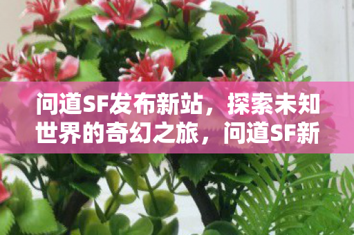 问道SF发布新站，探索未知世界的奇幻之旅，问道SF新站发布，探索未知世界的奇幻之旅