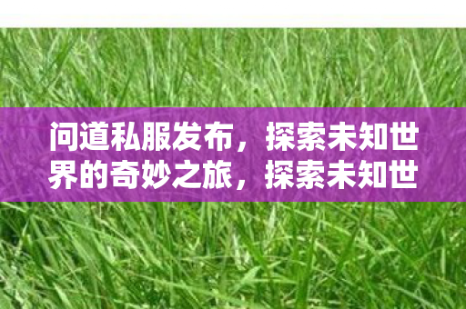 问道私服发布,探索未知世界的奇妙之旅,探索未知世界的奇妙之旅,问道私服发布 问道私服发布,探索未知世界的奇妙之旅,探索未知世界的奇妙之旅,问道私服发布