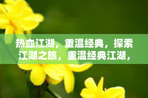 热血江湖,重温经典,探索江湖之旅,重温经典江湖,探索热血之旅 热血江湖,重温经典,探索江湖之旅,重温经典江湖,探索热血之旅