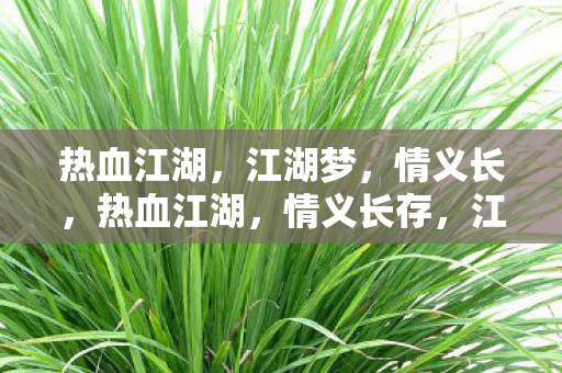 江湖梦未醒图片
