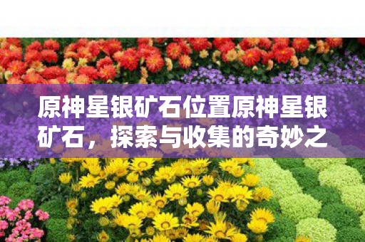 原神星银矿石位置原神星银矿石，探索与收集的奇妙之旅，原神星银矿石，探索与收集的奇妙之旅