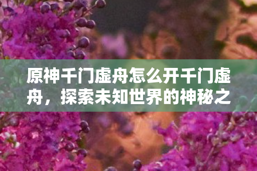 原神千门虚舟怎么开千门虚舟图片