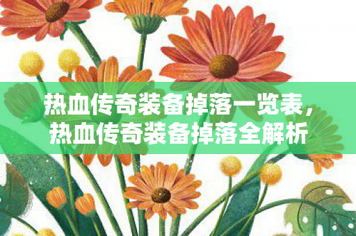 热血传奇装备掉落一览表图片