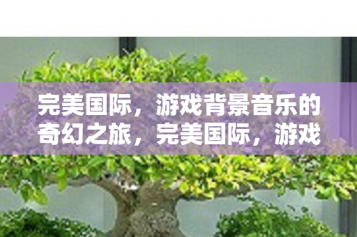 游戏背景音乐的奇幻之旅图片