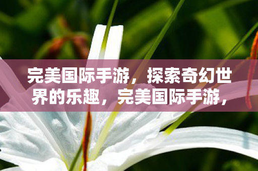 探索奇幻世界的无尽乐趣图片