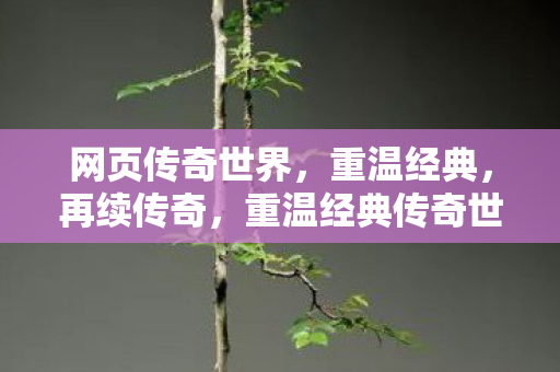 网页传奇世界，重温经典，再续传奇，重温经典传奇世界，再续传奇之旅