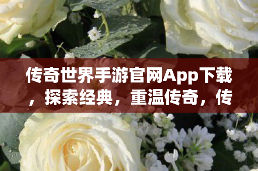 传奇世界手游官网App下载图片