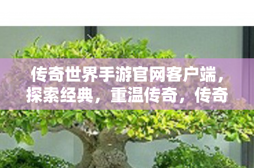 传奇世界手游官网客户端图片