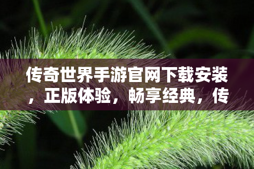 传奇世界手游官网下载安装图片