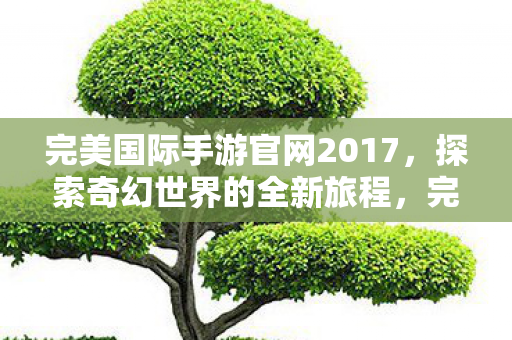 完美国际手游官网2017图片