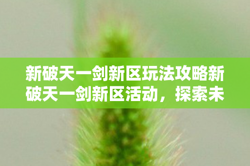 新破天一剑新区玩法攻略新破天一剑新区活动图片