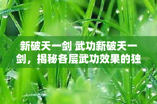 揭秘新破天一剑各层武功的独特魅力图片