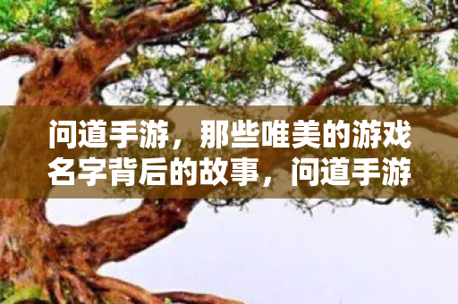 问道手游，那些唯美的游戏名字背后的故事，问道手游，探寻唯美游戏名字背后的故事