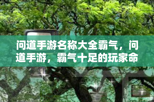 霸气十足的玩家命名大全图片