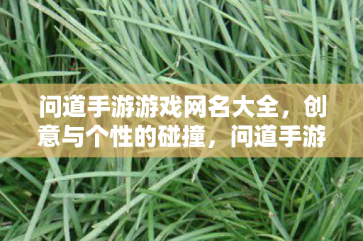 问道手游游戏网名大全，创意与个性的碰撞，问道手游，创意与个性碰撞的游戏网名大全