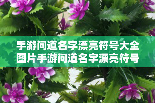 手游问道名字漂亮符号大全图片手游问道名字漂亮符号大全图片