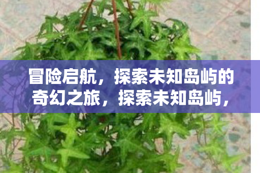 探索未知岛屿的奇幻之旅图片