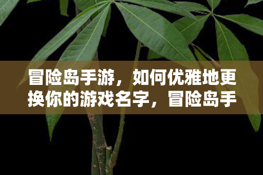 如何优雅地更换你的游戏名字图片