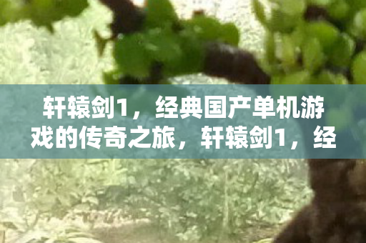 轩辕剑1，经典国产单机游戏的传奇之旅，轩辕剑1，经典国产单机游戏的传奇之旅