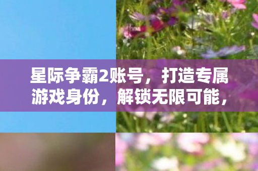 星际争霸2账号，打造专属游戏身份，解锁无限可能，打造专属星际争霸2账号，解锁无限游戏可能