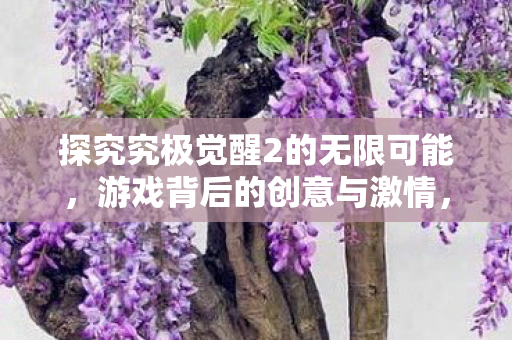 探究究极觉醒2的无限可能，游戏背后的创意与激情，究极觉醒2，探索创意与激情的无限可能
