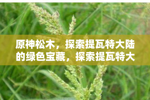 原神松木，探索提瓦特大陆的绿色宝藏，探索提瓦特大陆的绿色宝藏，原神松木