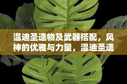 温迪圣遗物及武器搭配，风神的优雅与力量，温迪圣遗物及武器搭配，展现风神的优雅与力量