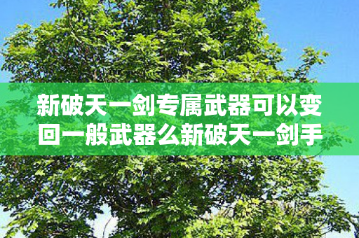 新破天一剑专属武器可以变回一般武器么新破天一剑手游换下的装备可以分解出材料吗图片