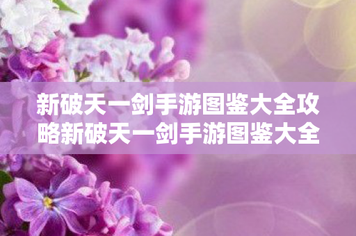 新破天一剑手游图鉴大全攻略新破天一剑手游图鉴大全图片
