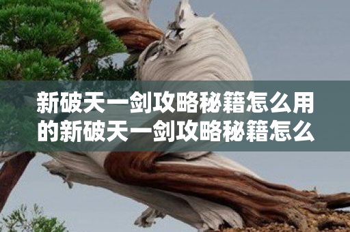 新破天一剑攻略秘籍怎么用的新破天一剑攻略秘籍怎么用图片