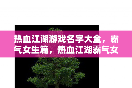 热血江湖游戏名字大全,霸气女生篇,热血江湖霸气女生游戏名字大全 热血江湖游戏名字大全,霸气女生篇,热血江湖霸气女生游戏名字大全