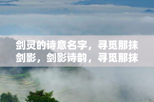 寻觅那抹诗意剑影图片