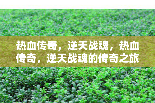 热血传奇，逆天战魂，热血传奇，逆天战魂的传奇之旅