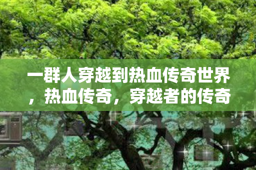 一群人穿越到热血传奇世界图片