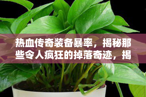 揭秘那些令人疯狂的掉落奇迹图片