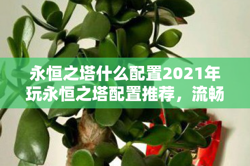 永恒之塔什么配置2021年玩永恒之塔配置推荐图片