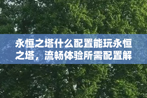 永恒之塔什么配置能玩永恒之塔图片