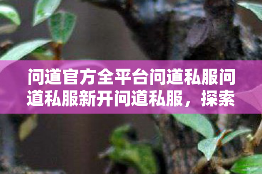问道官方全平台问道私服问道私服新开问道私服,探索未知世界的奇妙之旅,探索未知世界的奇妙之旅,问道私服全新开启 问道官方全平台问道私服问道私服新开问道私服,探索未知世界的奇妙之旅,探索未知世界的奇妙之旅,问道私服全新开启