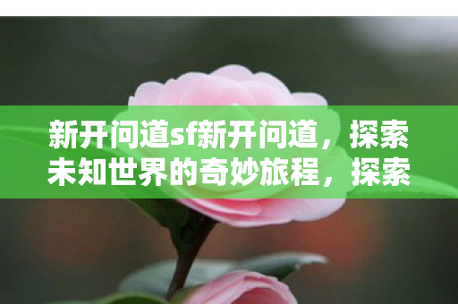 新开问道sf新开问道，探索未知世界的奇妙旅程，探索未知世界的奇妙旅程，新开问道SF等你来挑战