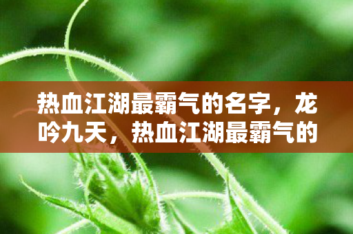 热血江湖最霸气的名字,龙吟九天,热血江湖最霸气的名字,龙吟九天 热血江湖最霸气的名字,龙吟九天,热血江湖最霸气的名字,龙吟九天